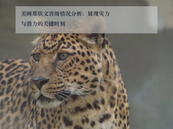 美网郑钦文晋级情况分析：展现实力与潜力的关键时刻